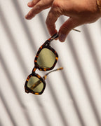 The No Wave - Lunar Tortoise Bio Polarized