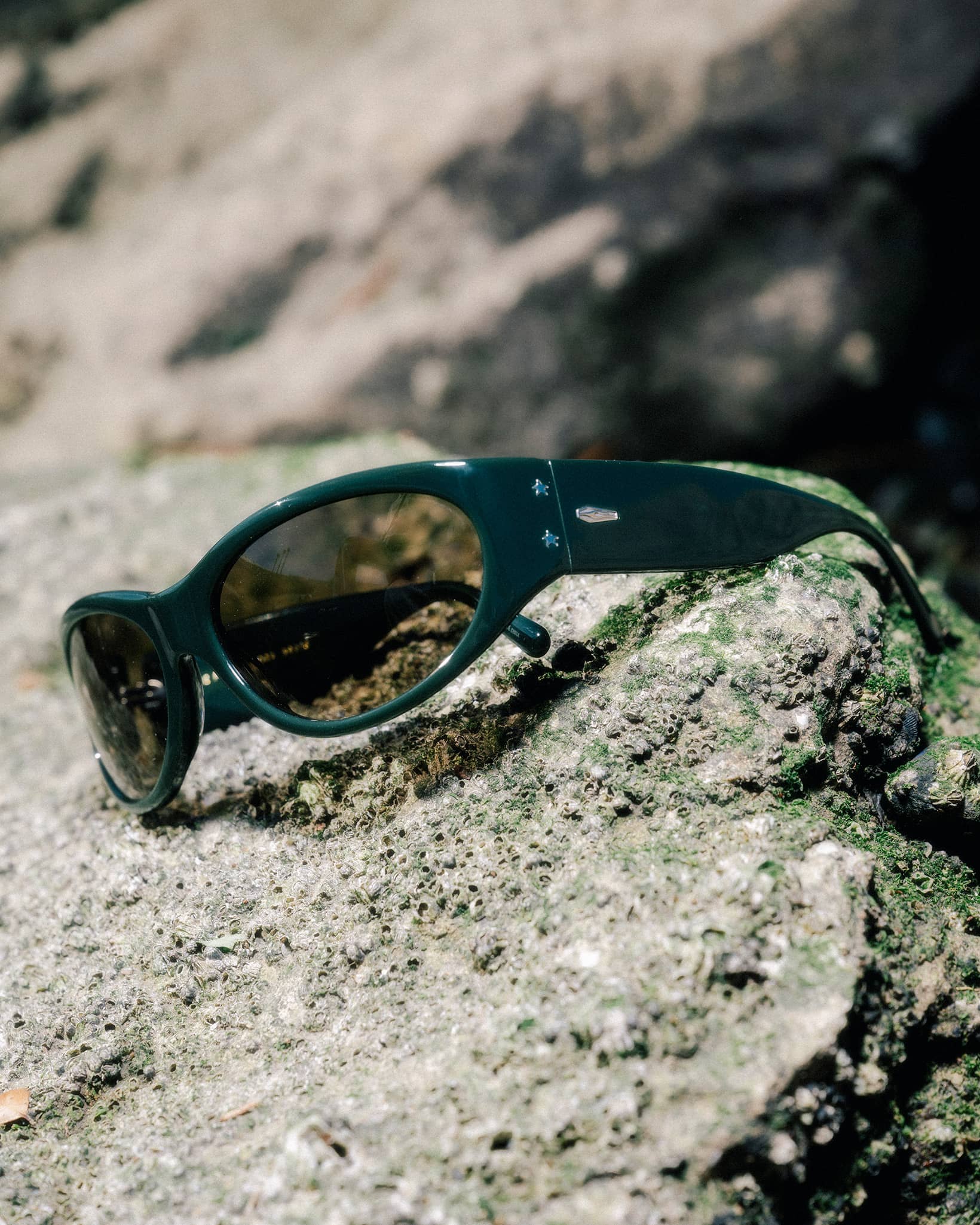 The Funk Daddy - Oblivion Midnight Forest Bio Polarized