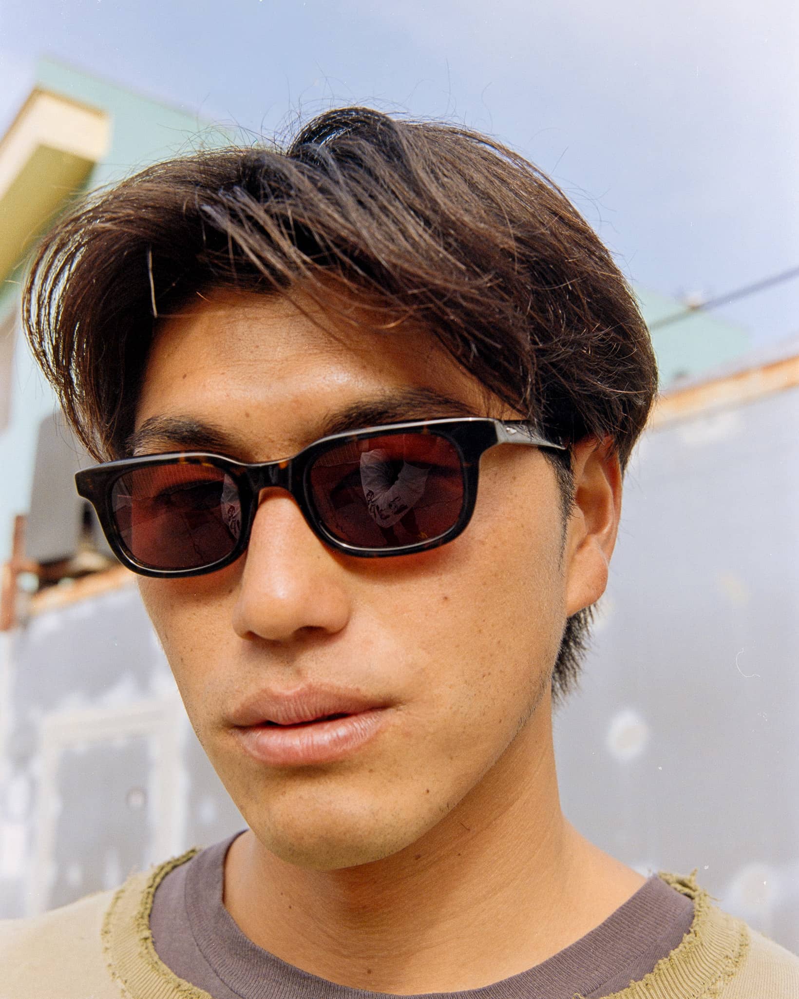 The Pop Control - Dark Tortoise Bio Polarized