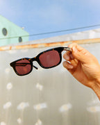 The Pop Control - Dark Tortoise Bio Polarized
