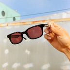 The Pop Control - Dark Tortoise Bio Polarized