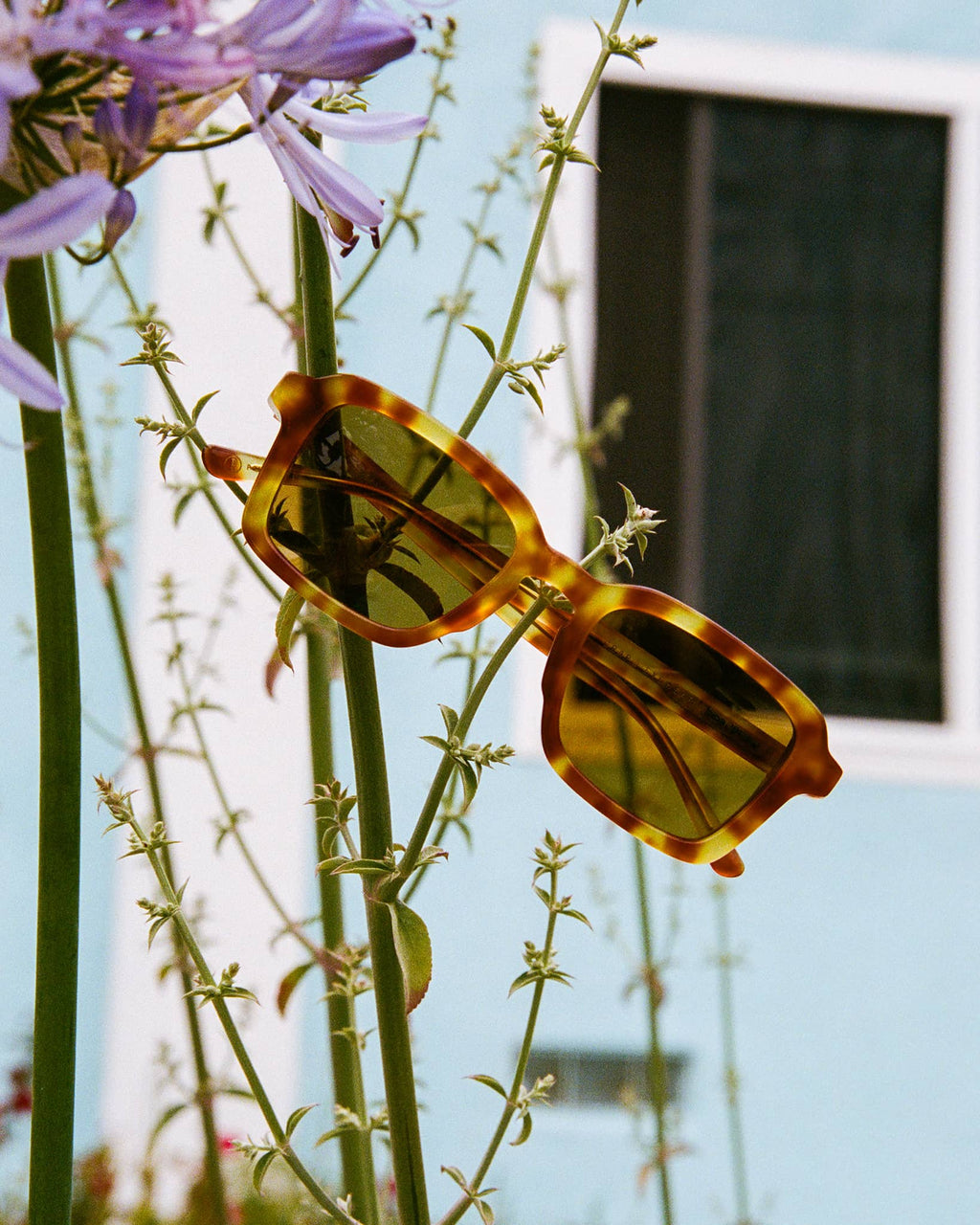 The Heavy Tropix - Blonde Tortoise Bio Polarized