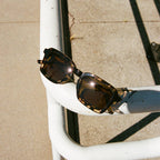 The Heavy Tropix - Desert Tortoise Bio Polarized