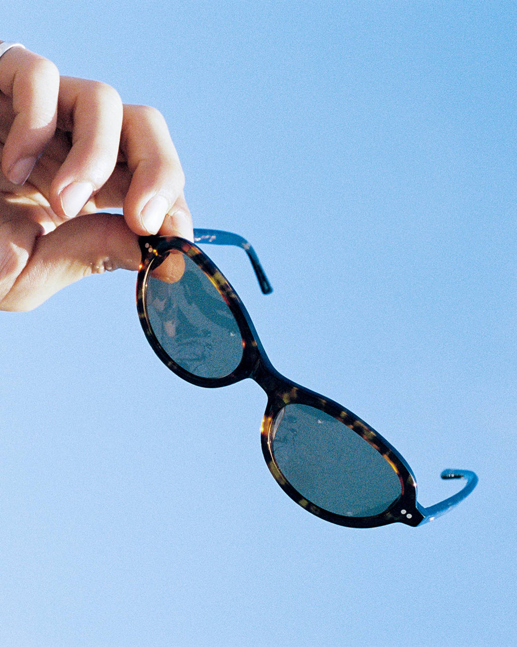 The Marquee Rox - Dark Tortoise Bio