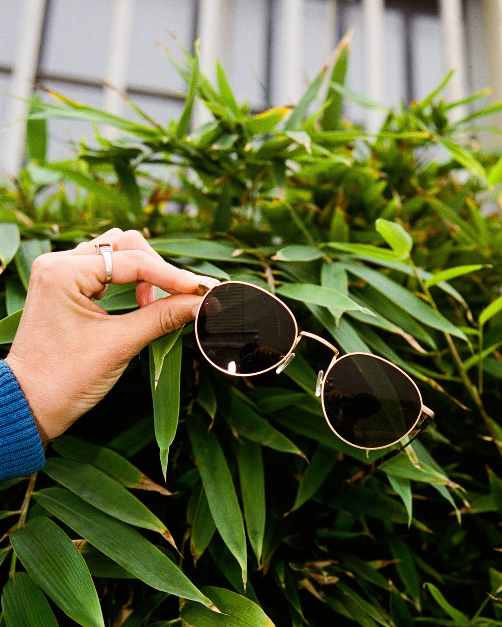 The Tuff Patrol - Gold Polarized