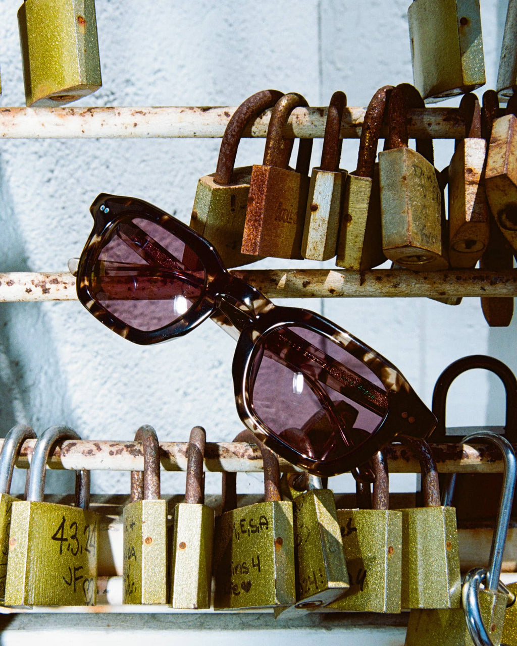 The No Wave - Desert Tortoise Bio Polarized