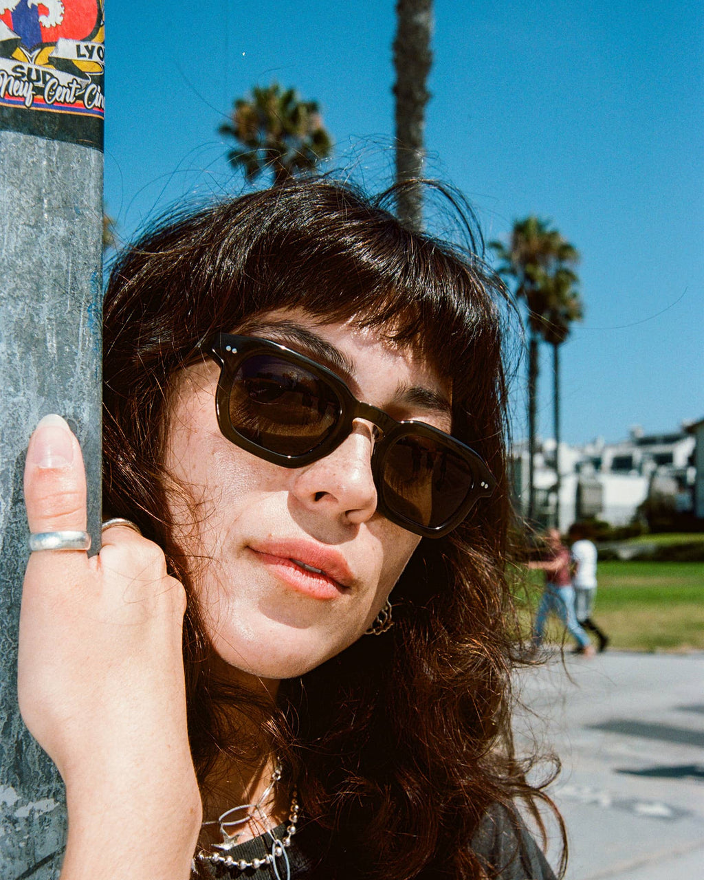 The No Wave - Seaweed Bio Polarized