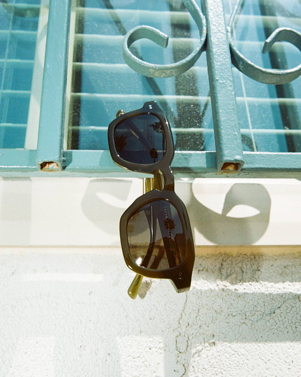 The No Wave - Seaweed Bio Polarized