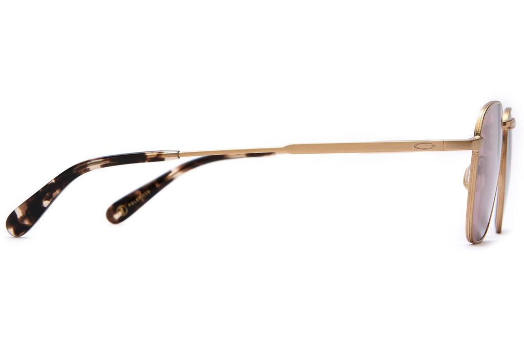 The Groove Pilot - Polarized Date