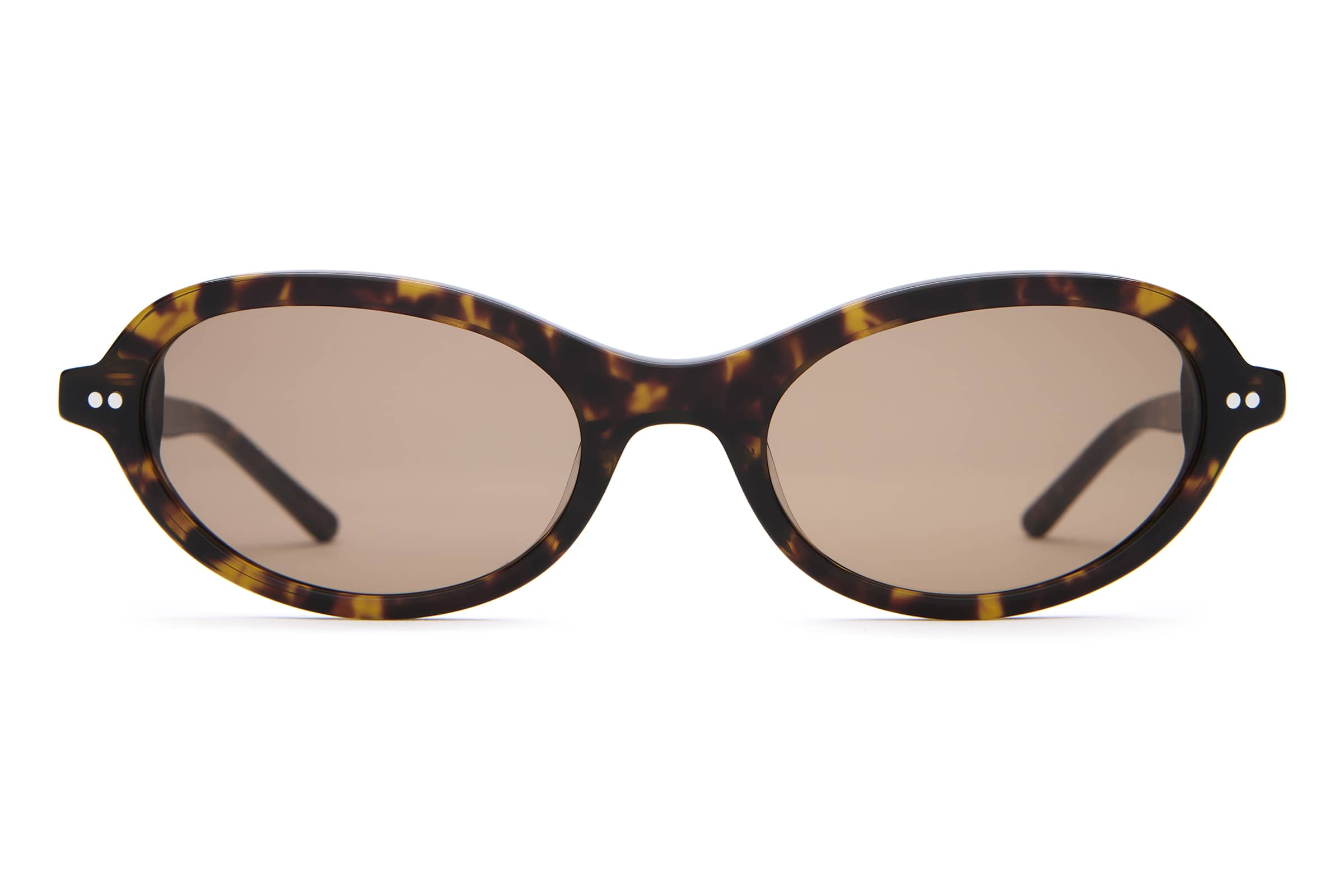 The Marquee Rox - Dark Tortoise Bio