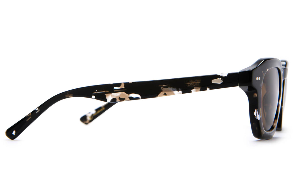 The No Wave - Black Tortoise Bio Polarized