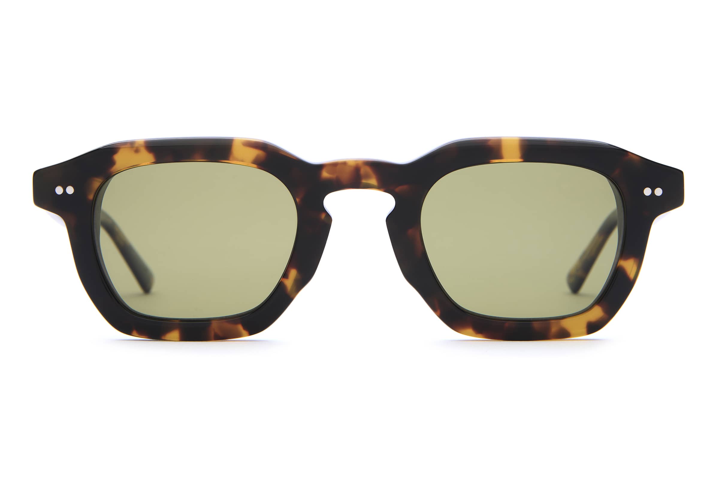 The No Wave - Lunar Tortoise Bio Polarized